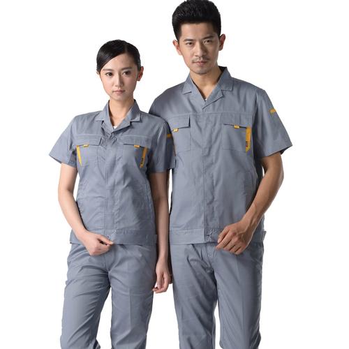 胡敏华公司 服装加工与销售的综合业务概览